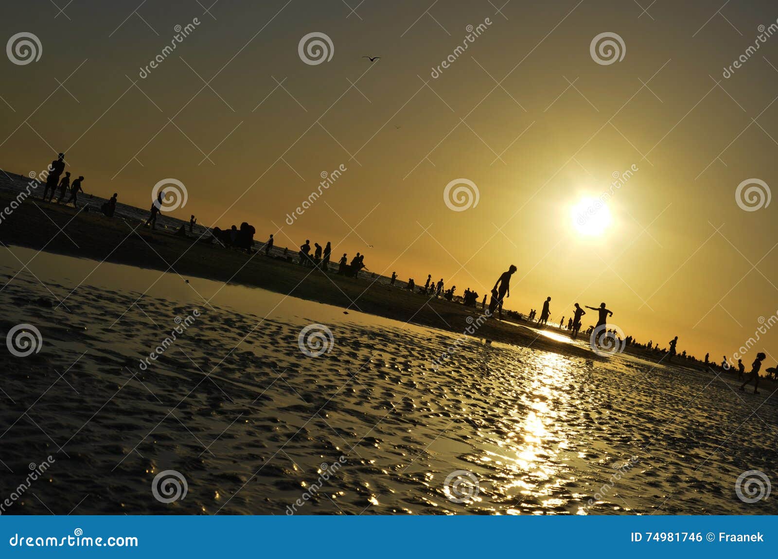 sunset on siesta beach