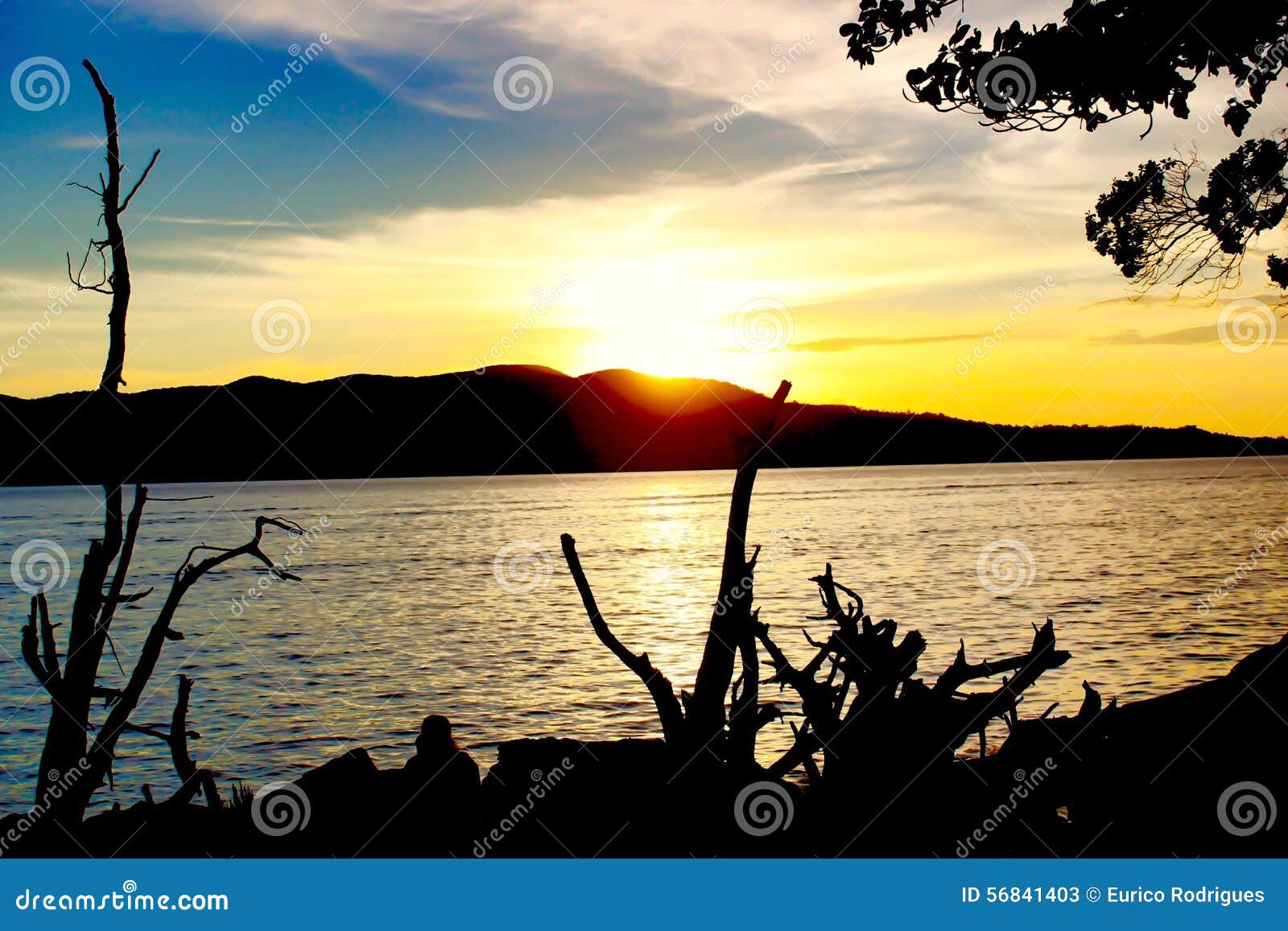 sunset silhouettes the trees at chidiya tapu beach
