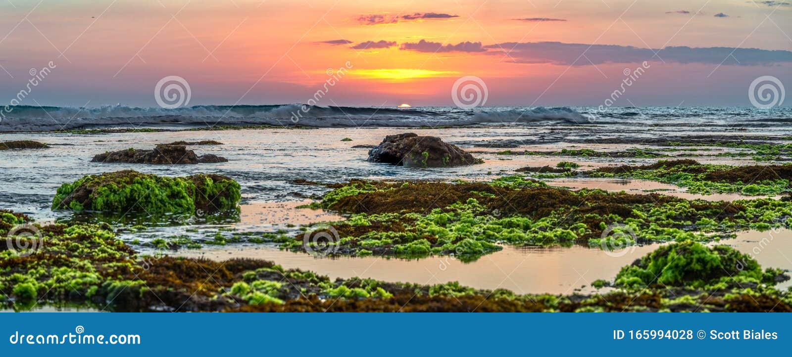 Sunset View On Batu Bolong Beach Bali Stock Photo Image Of Nature