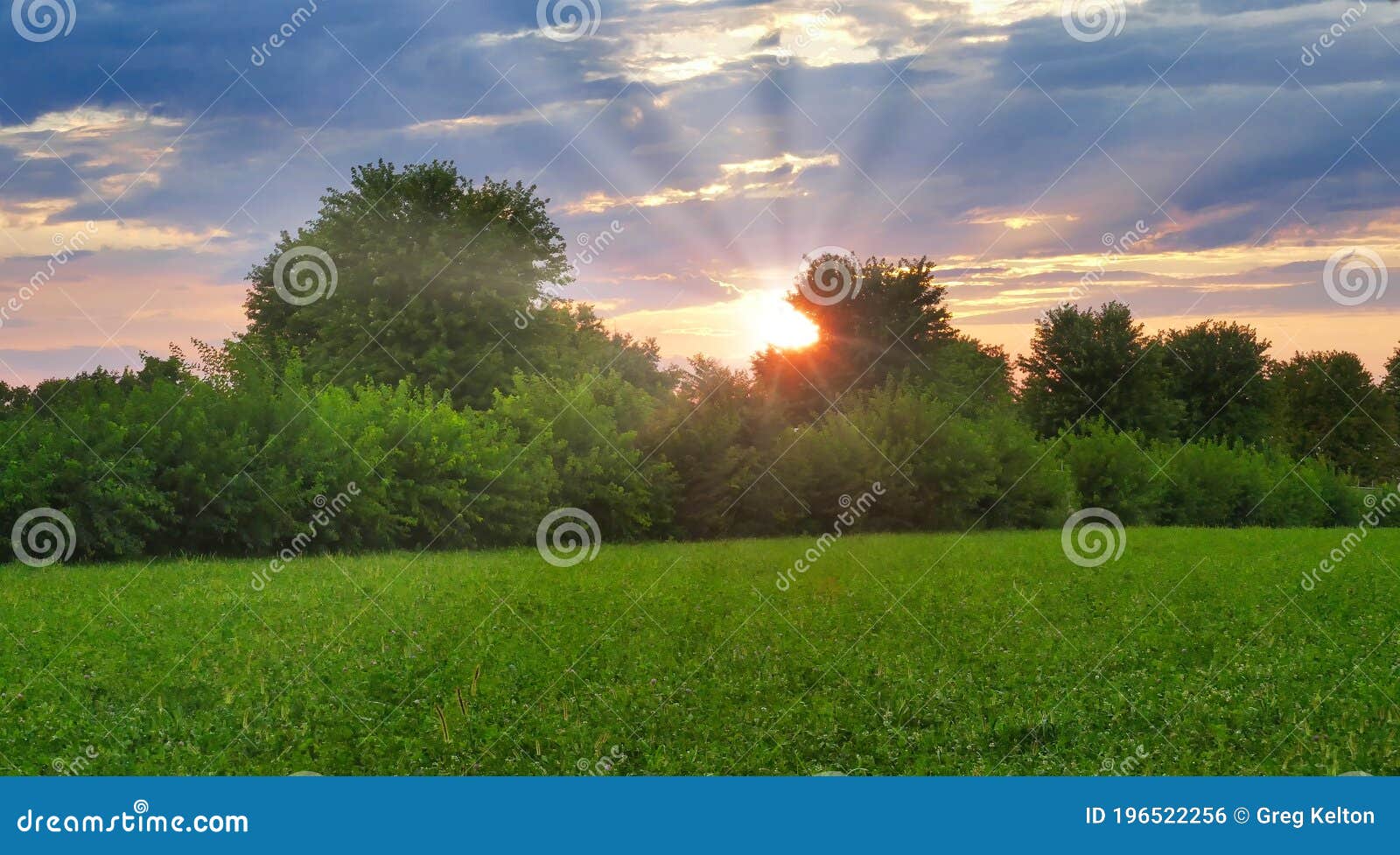 Sunset with a Yellow Sun and Sun Rays Thru Trees. Stock Photo Image
