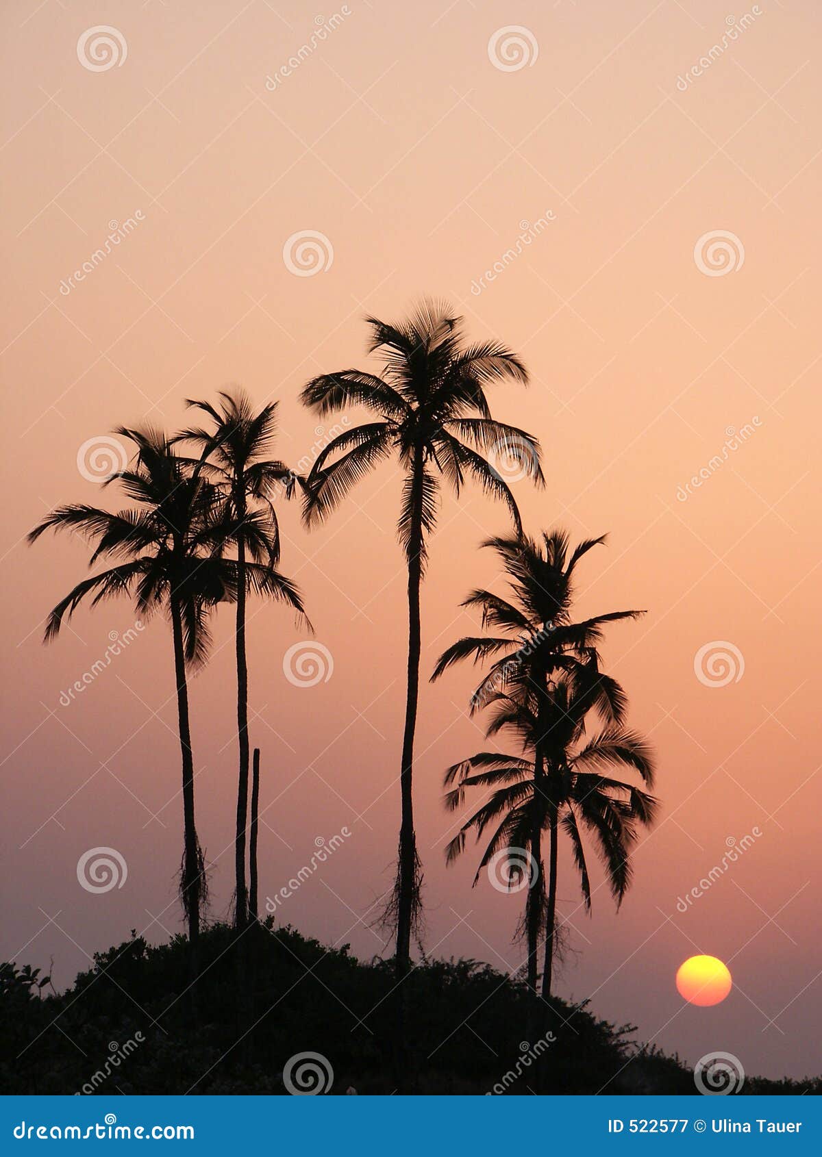 sunset6