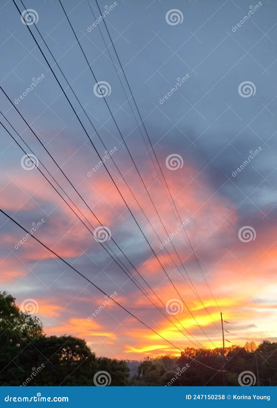 Blaine Tn Stock Photos Free & RoyaltyFree Stock Photos from Dreamstime