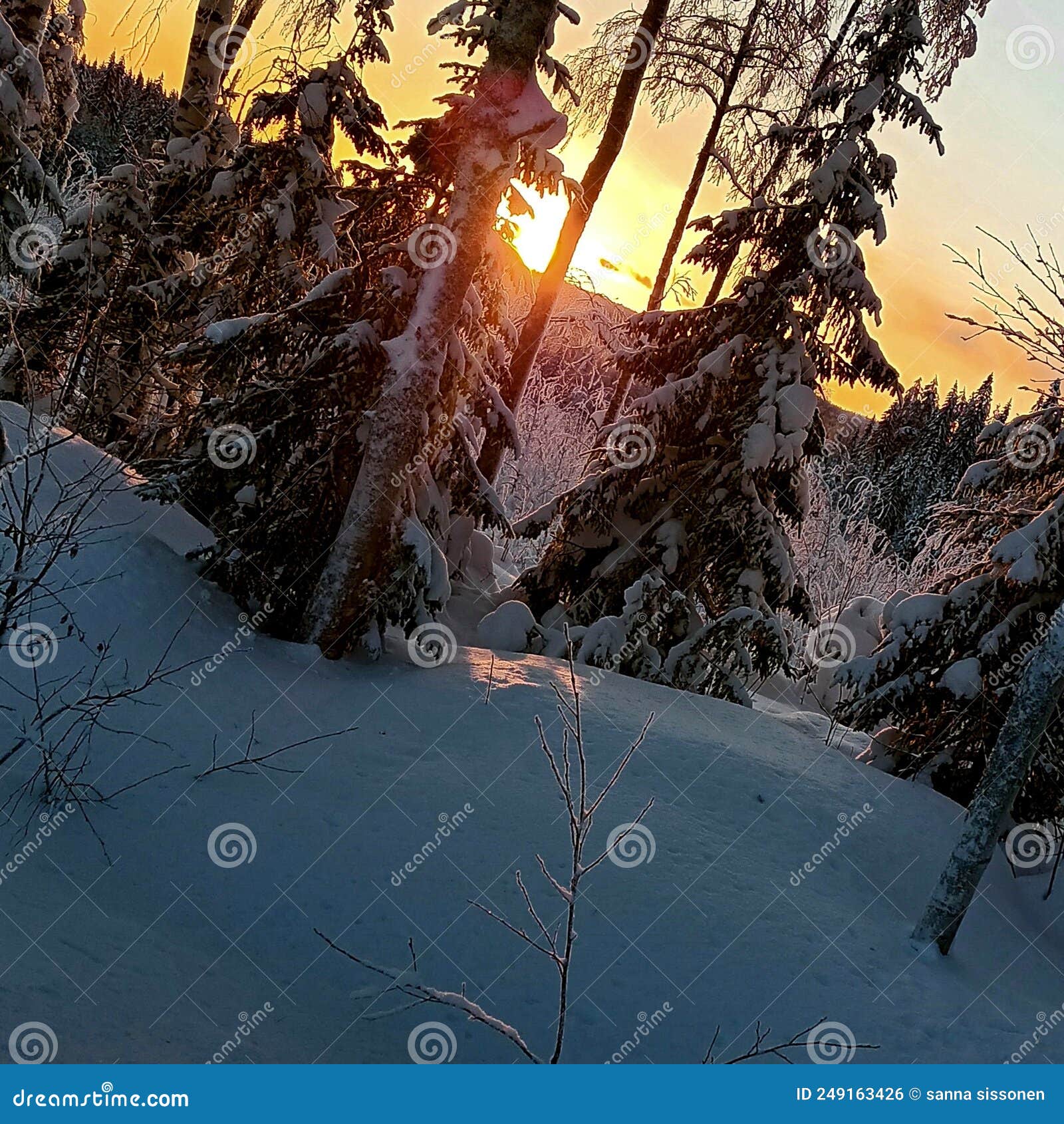 sunshine of winter time of finlandia