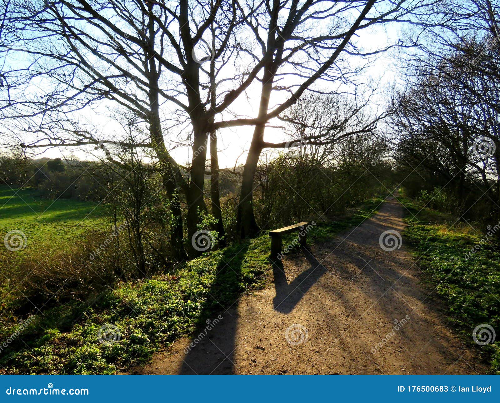 the sunshines brightly on this pathway and the little seating bench