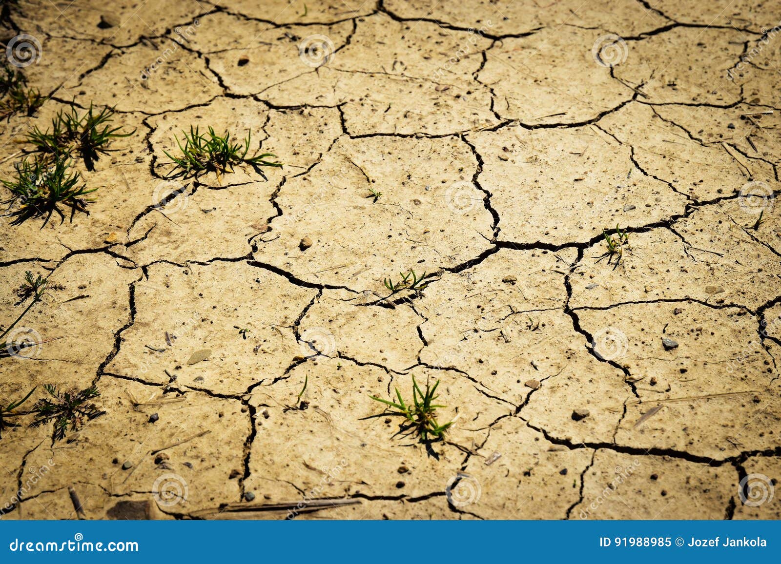 Suolo Sabbioso Asciutto Immagine Stock Immagine Di Guasto 91988985