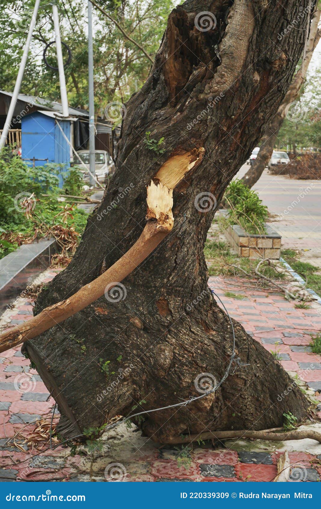 super cyclone amphan caused devastation, west bengal, india