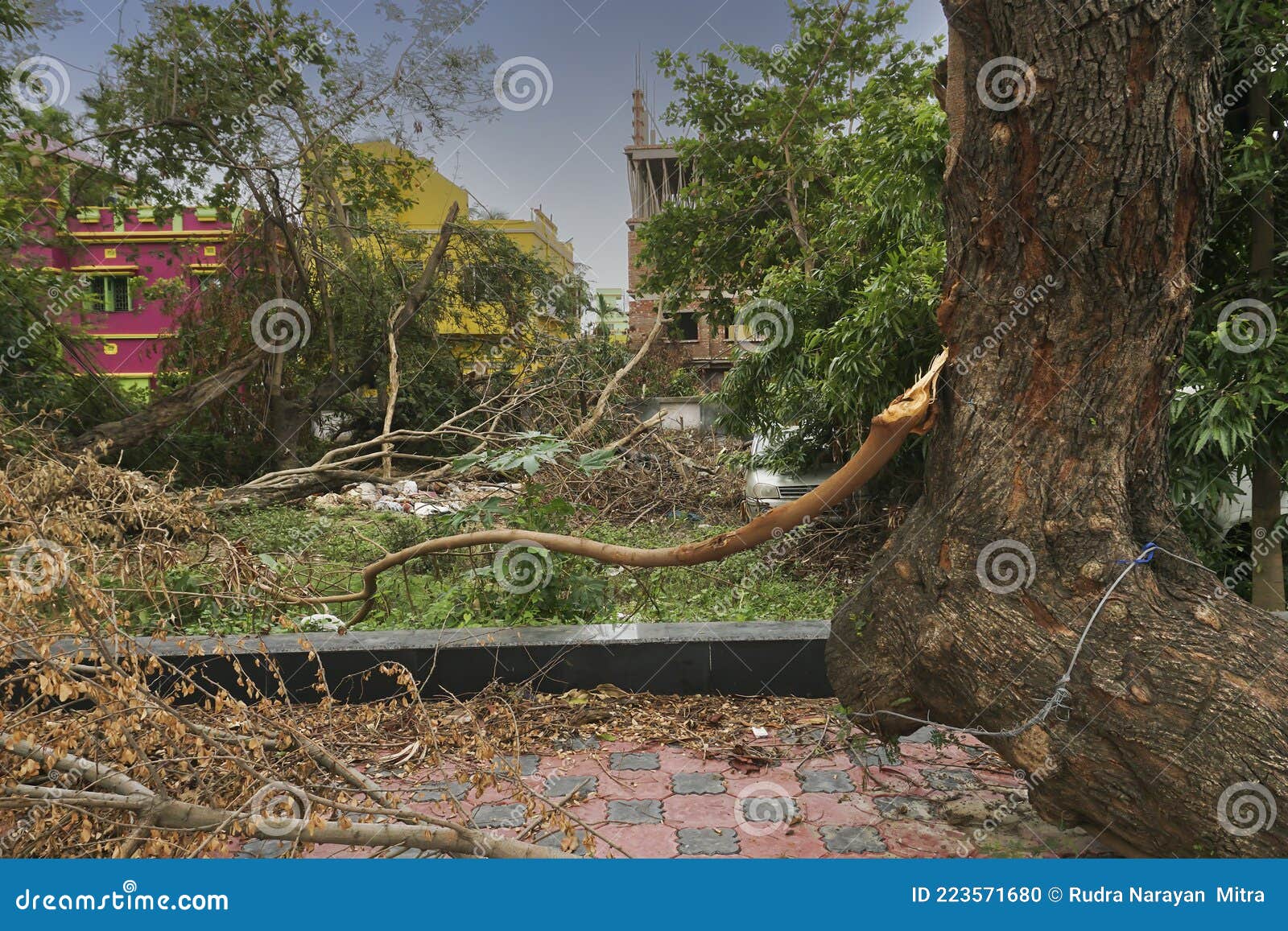 super cyclone amphan caused devastation, west bengal, india