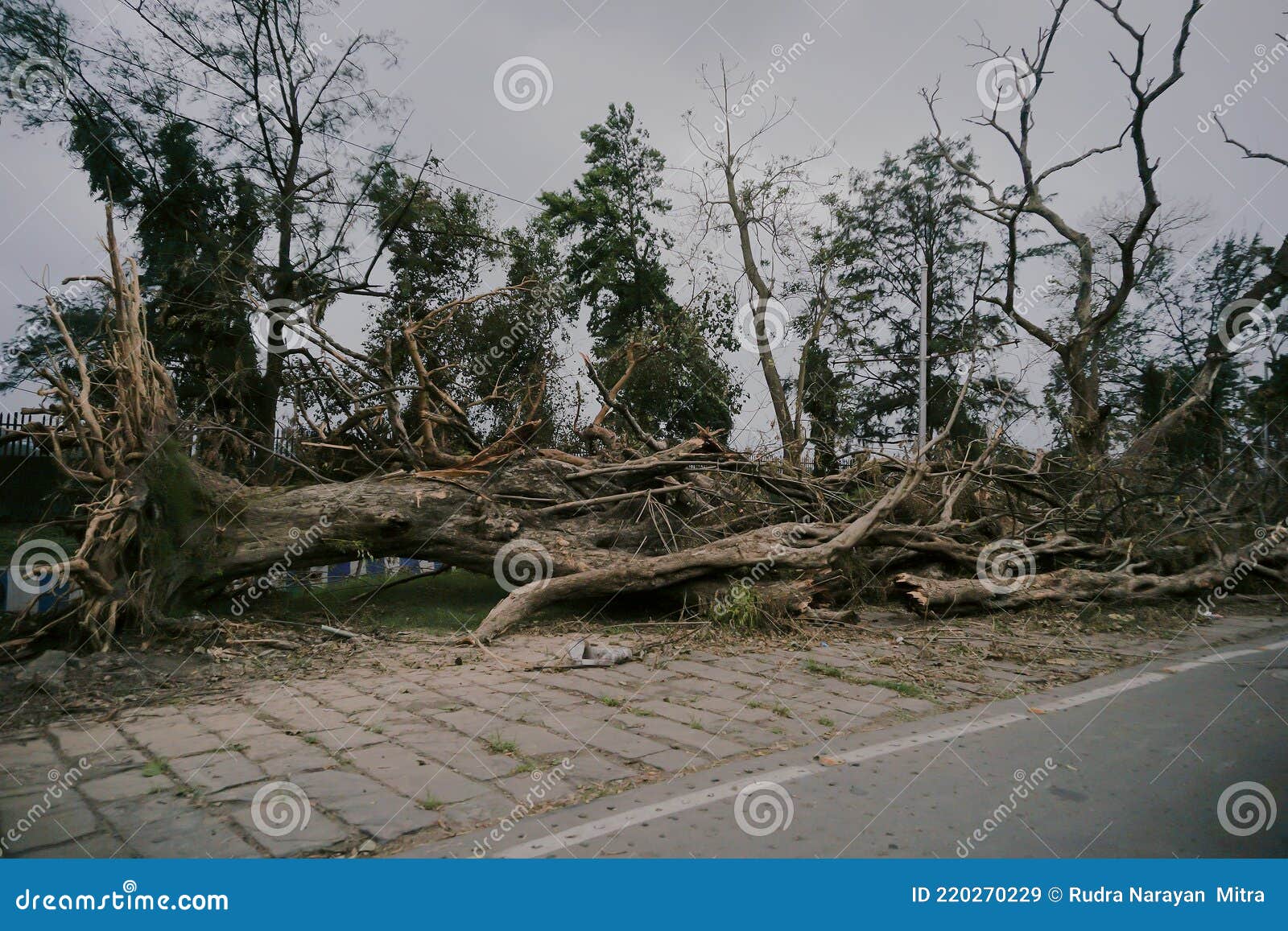 super cyclone amphan caused devastation, west bengal, india