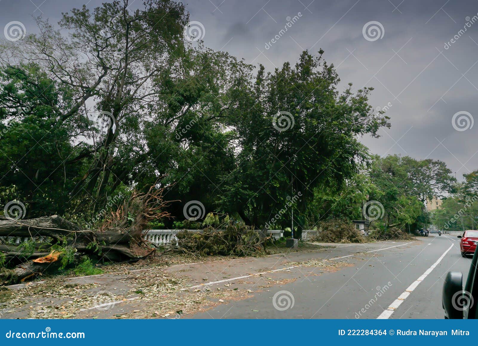 super cyclone amphan caused devastation, west bengal, india
