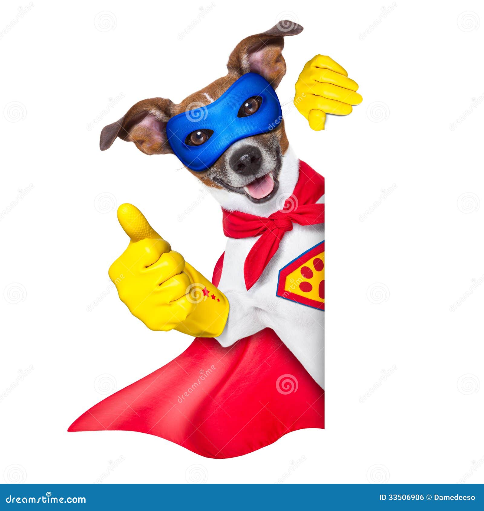 super hero dog