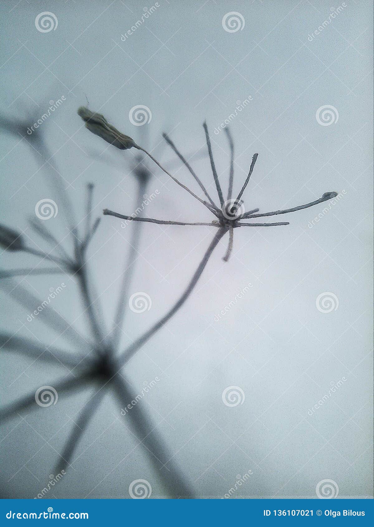 Melancholy stock image. Image of winter, stilllife, small 136107021