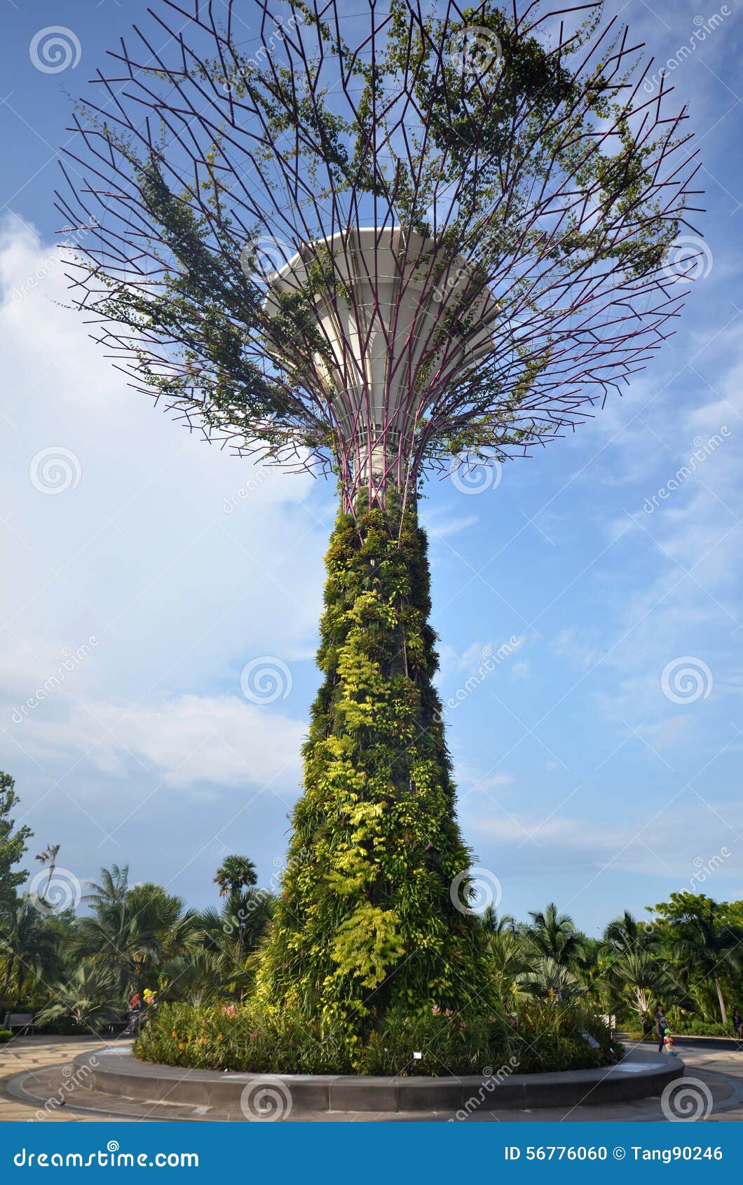 Super Tree With Skyline Walk In Singapore Landmark Garden By The Bay