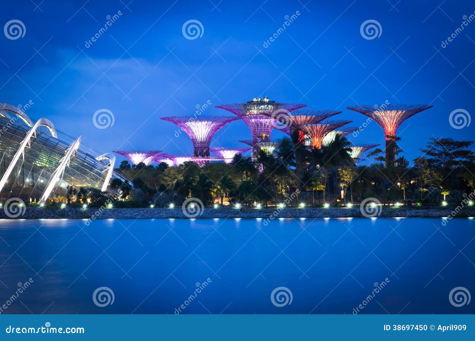 Super Tree at Singapore with Blue Sky Stock Photo Image of gardens