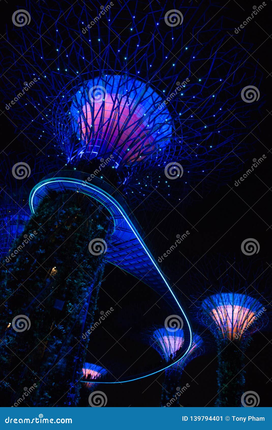 Super Trees At Gardens By The Bay Stock Image Image Of Glowing