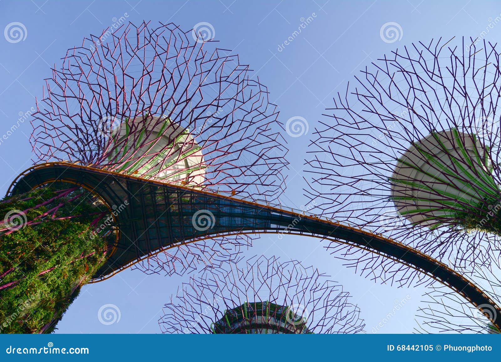 Super Trees at Gardens by the Bay Editorial Image Image of singapore