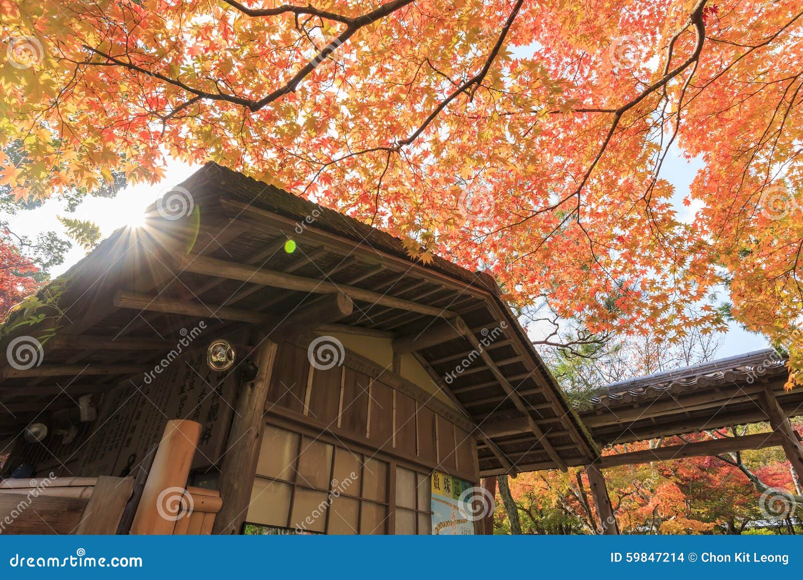 Superb View, Fall Color at Japan in the Autumn Stock Photo Image of