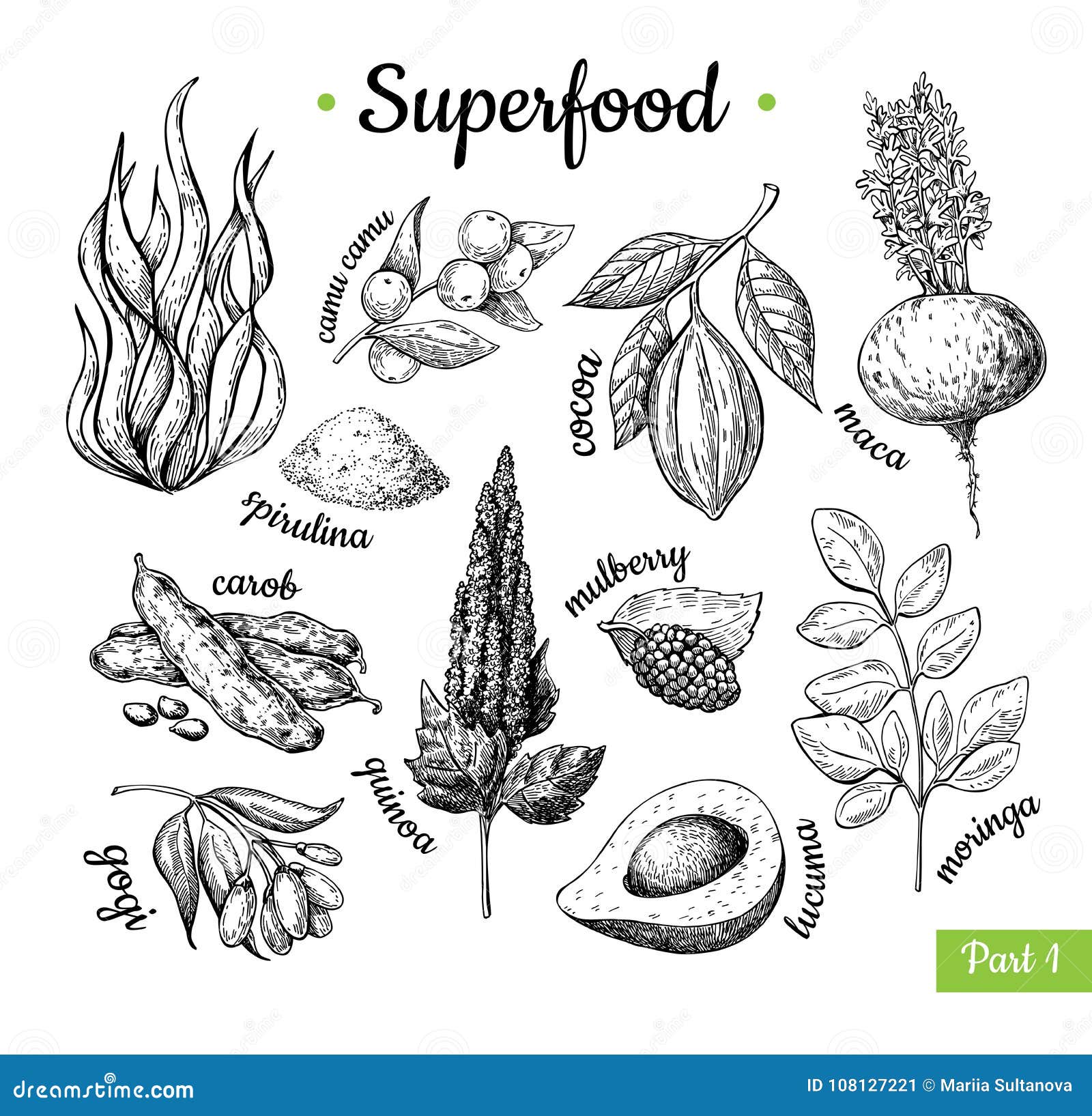 superfood hand drawn  . botanical  ske