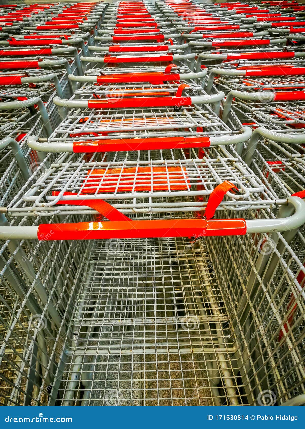 Supermarket Carts. Several Rows of Supermarket Carts. High Angle. Stock