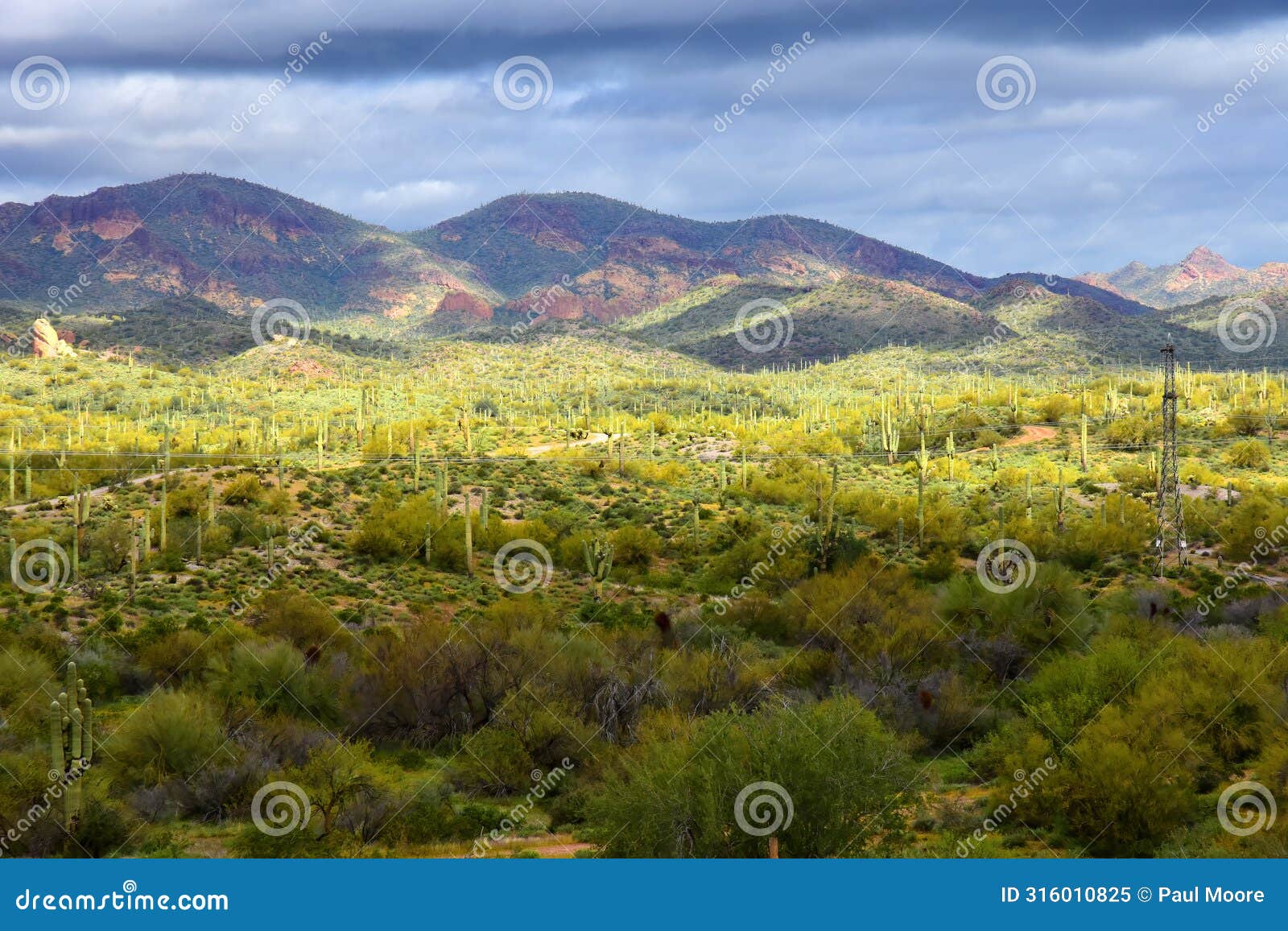 superstition mountains foothills arizona