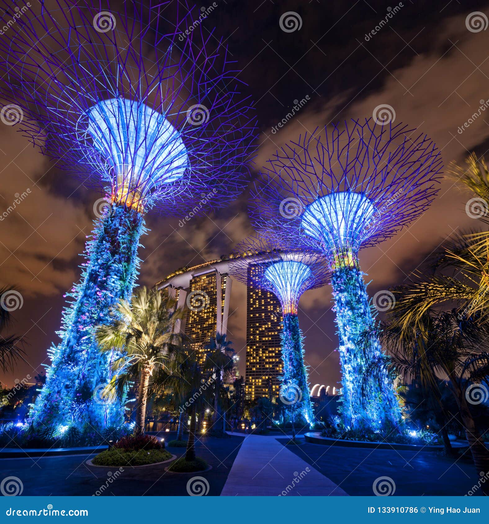 supertrees, garden by the bay singapore