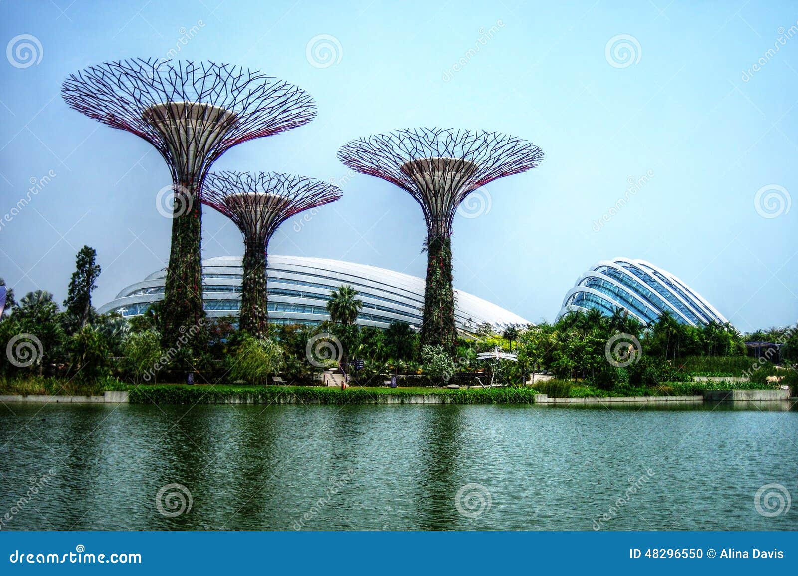 supertrees greenhouse and dragonfly lake - singapore - gardens by the bay