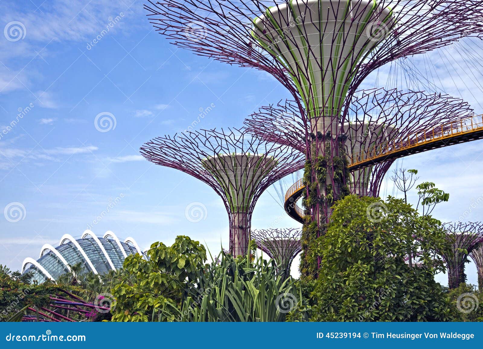 supertrees, singapore