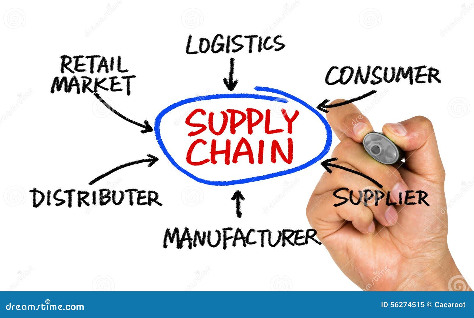 Supply Chain Diagram Hand Drawing On Whiteboard Stock Photo Image