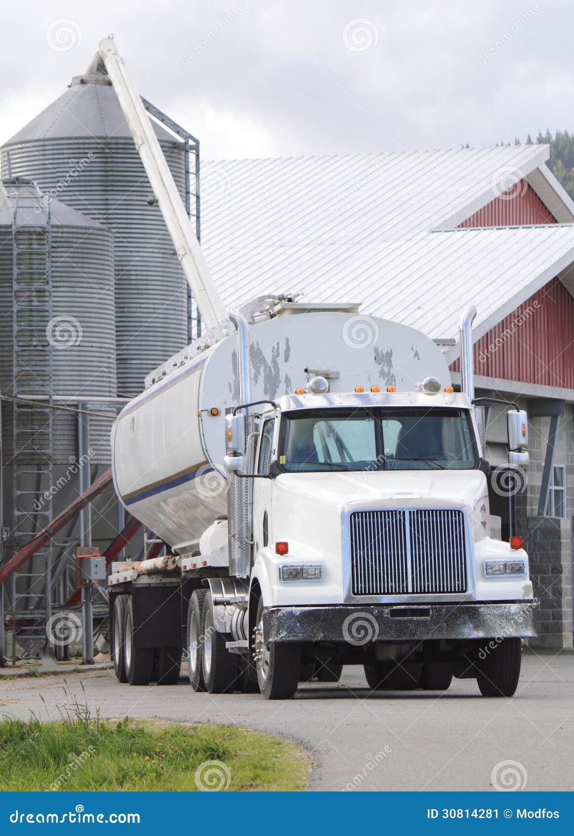 Supplying Grain Bin. A truck delivers feed into a giant bin on a farm.