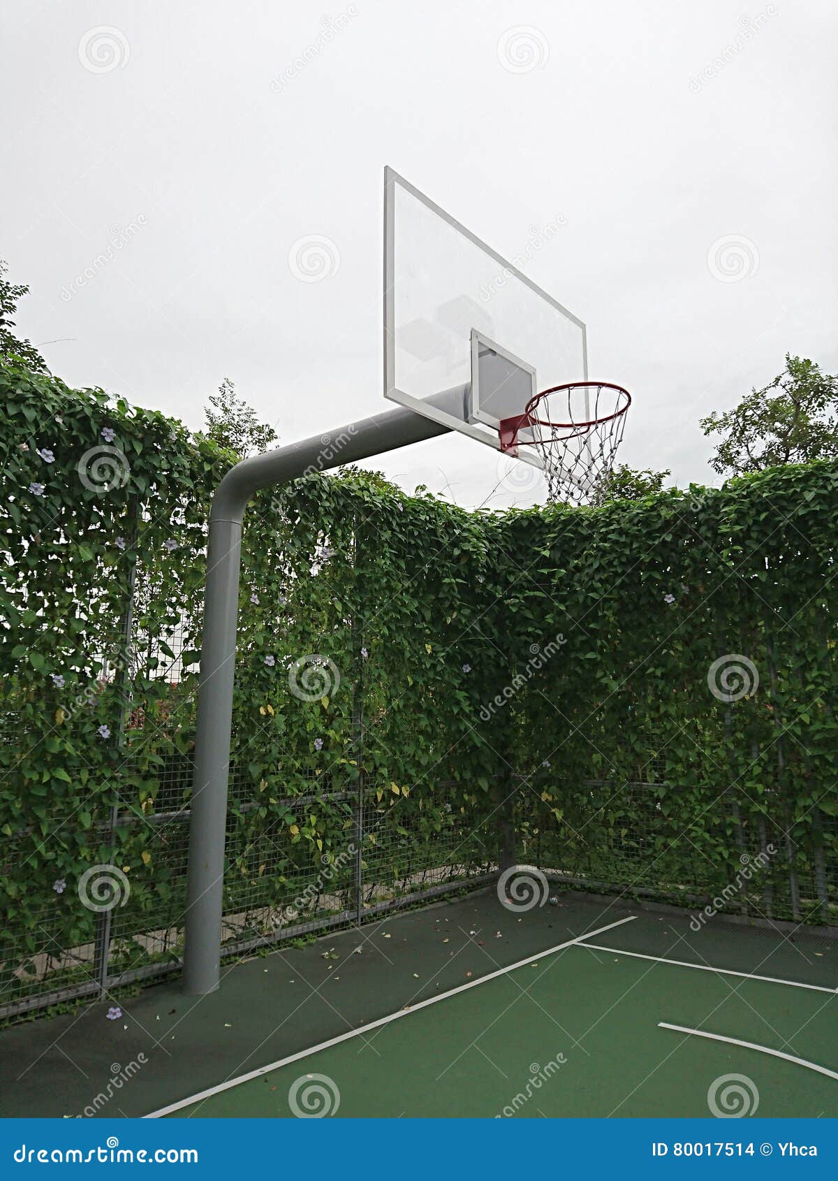 Support de basket-ball photo stock. Image du trame, claquement - 80017514