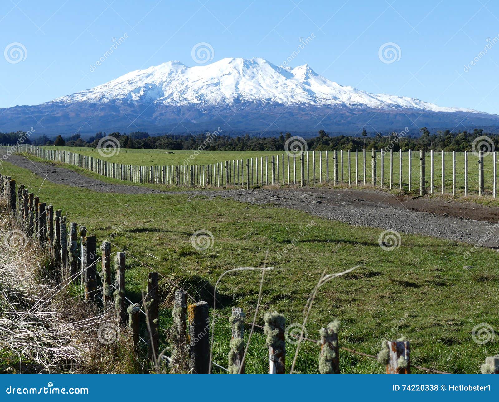 Support Ruapehu. La neige du Nouvelle-Zélande a couvert le paysage de montagne comportant Mt Ruapehu