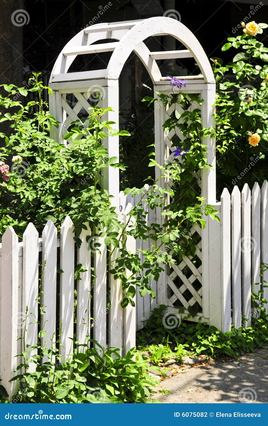 Supporto conico bianco in un giardino. Supporto conico bianco con le rose di fioritura in un giardino