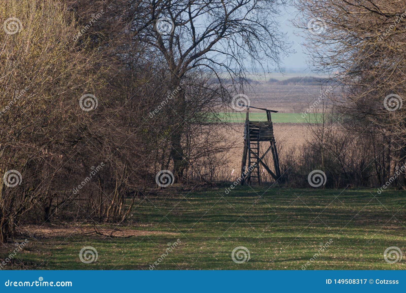 Portagioielli A Forma Di Albero Di Cervo - Organizzatore Per Orecchini, Bracciali E Collane, Nero - Foto 10