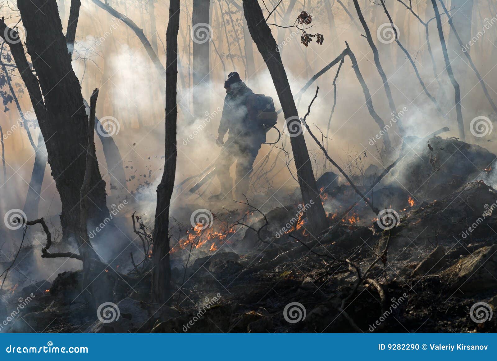 Suppression of Forest Fire 13 Stock Photo Image of forest, fire 9282290