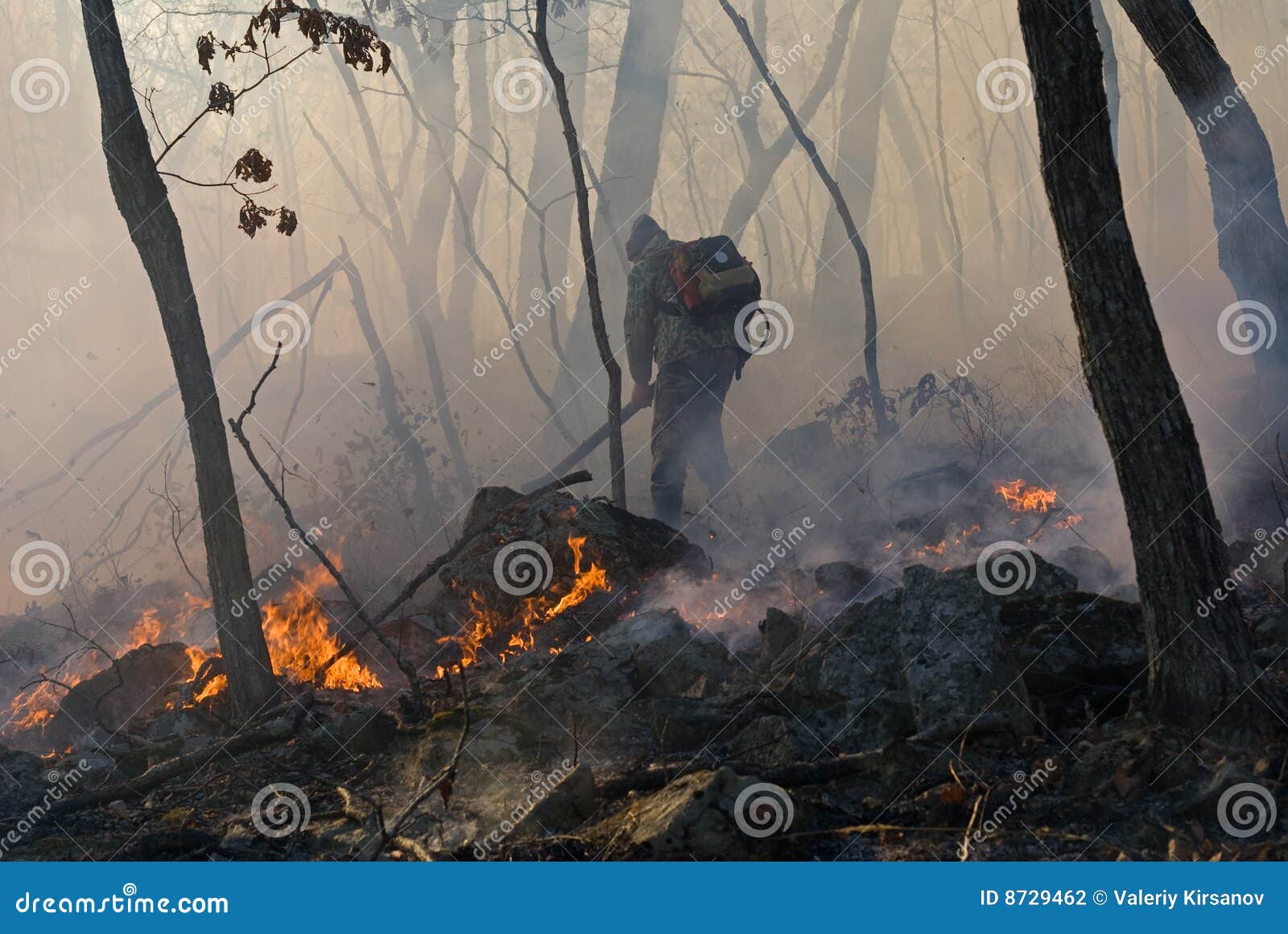 Suppression of Forest Fire 18 Stock Photo Image of protection
