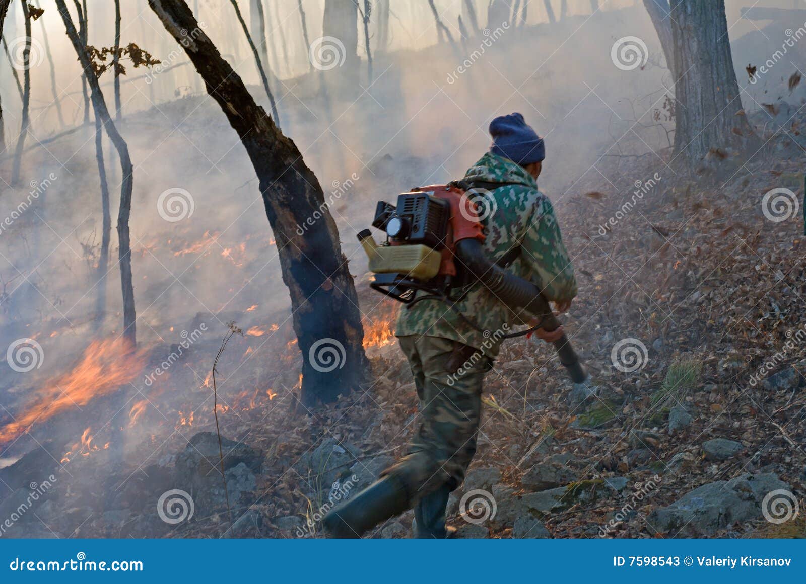 Suppression of Forest Fire 27 Stock Image Image of nature, danger