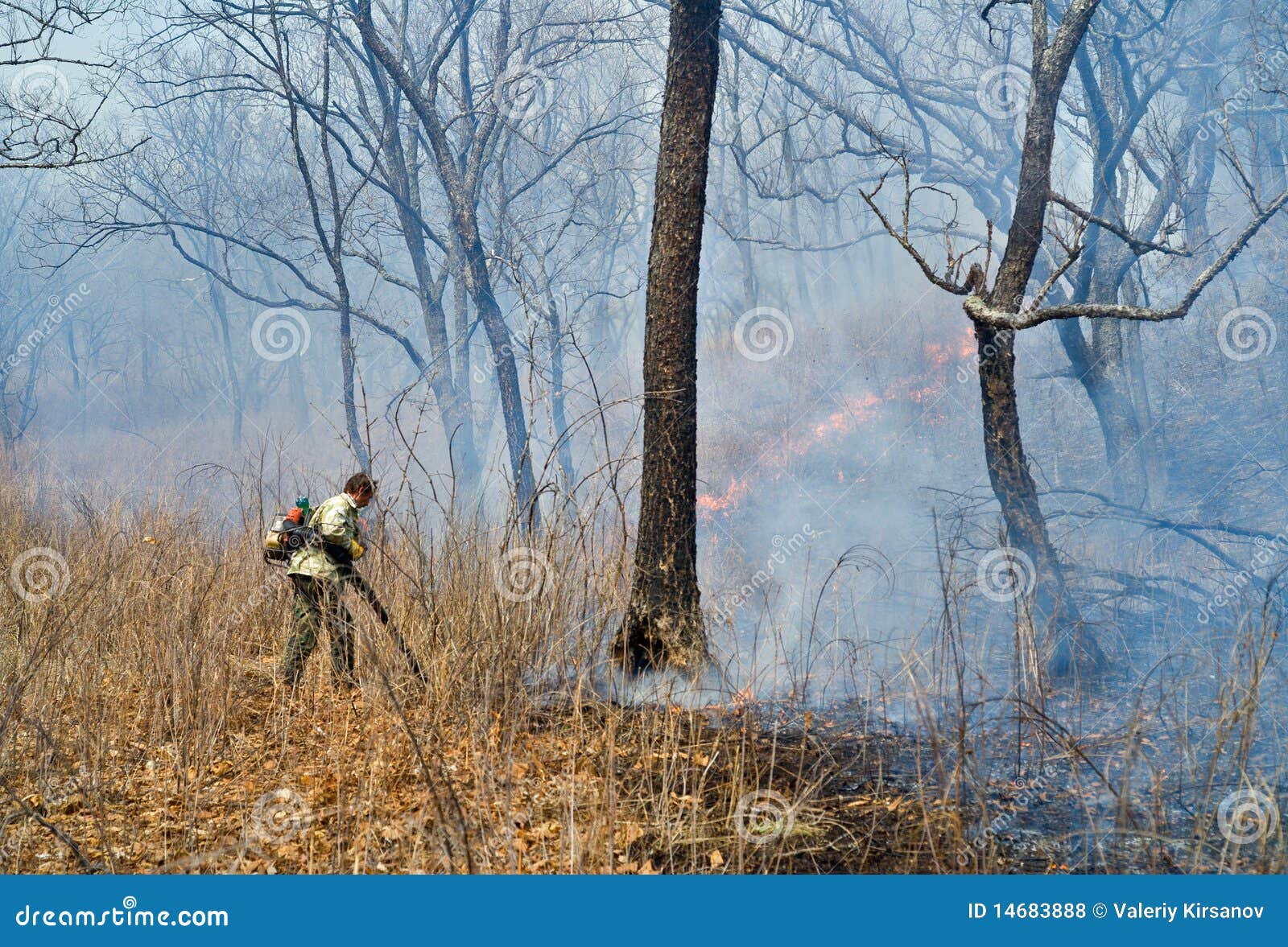 Suppression of Forest Fire 51 Stock Photo Image of heat, fire 14683888