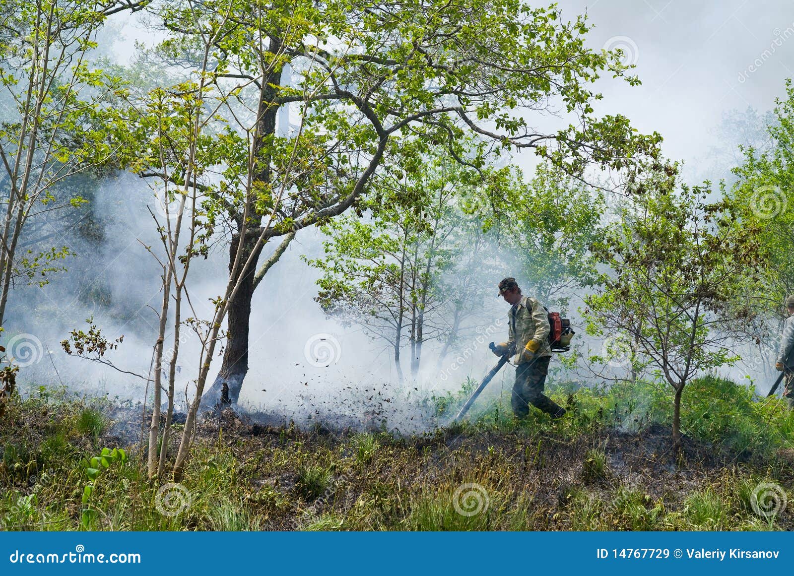 Suppression of Forest Fire 54 Stock Image Image of quench, ecology