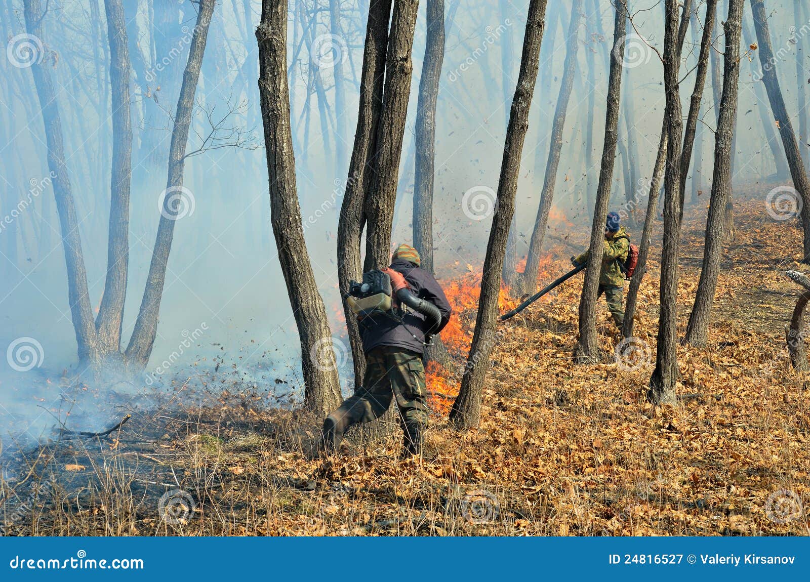 Suppression of Forest Fire 61 Stock Image Image of action, disaster
