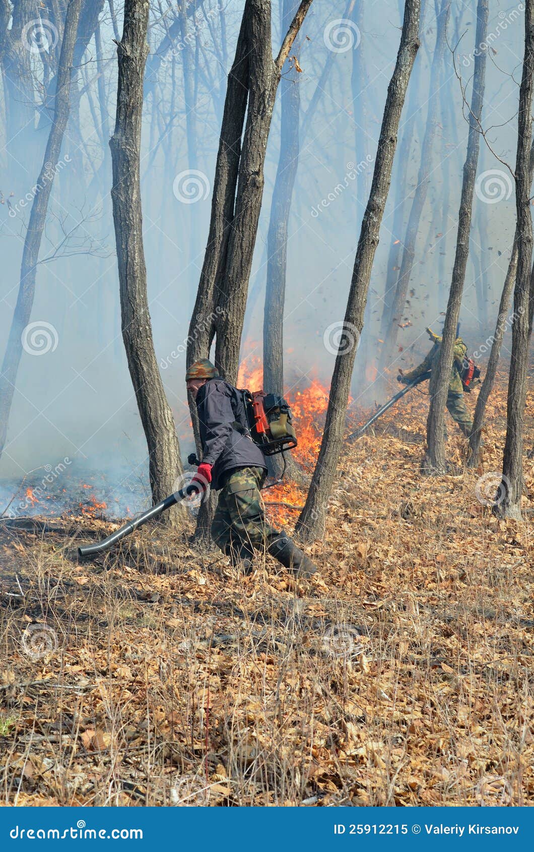 Suppression of Forest Fire 62 Stock Image Image of disaster, danger