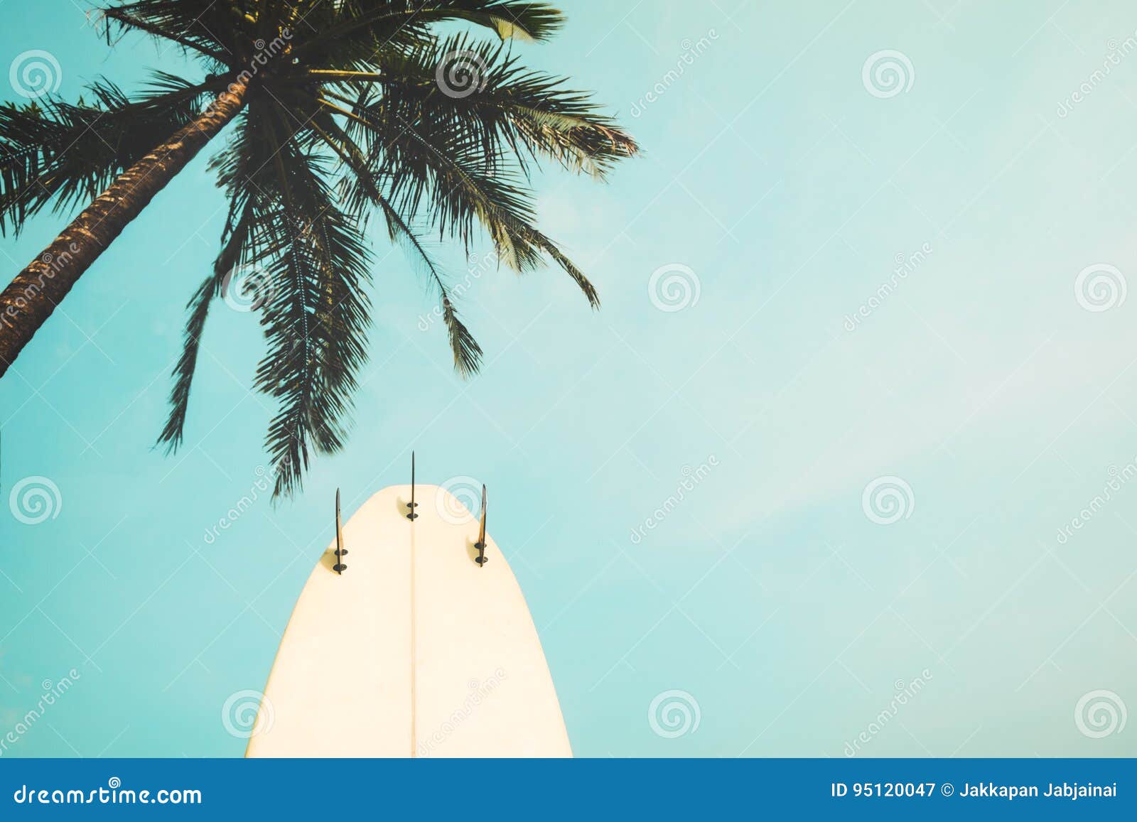 surf board with palm tree in summer season