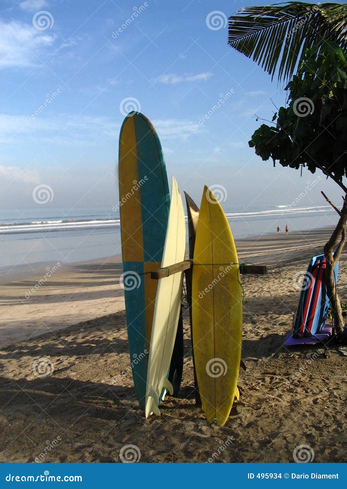 Surf Boards in Bali stock photo. Image of tree, beach, holiday 495934