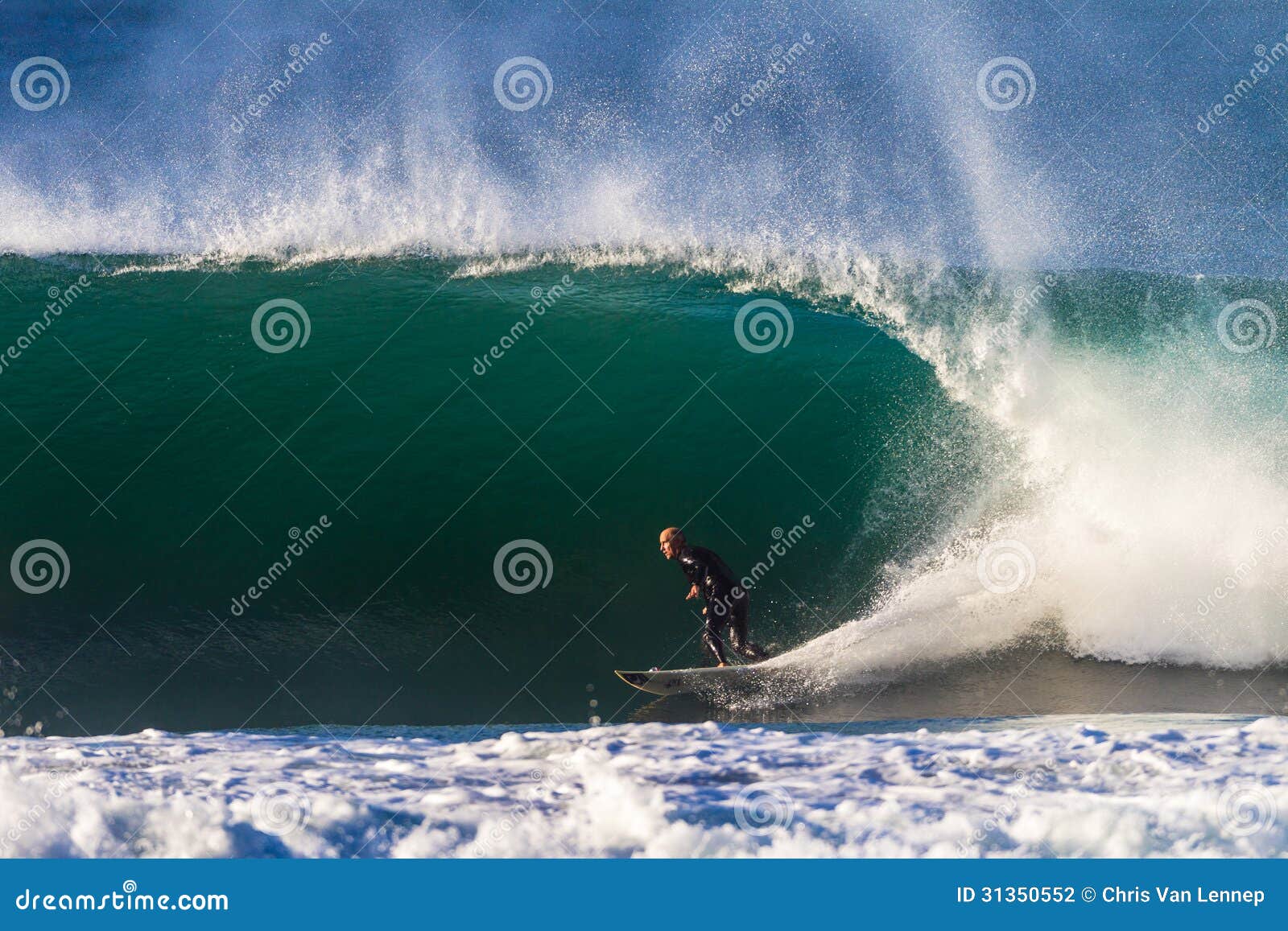 surf rider surf rider