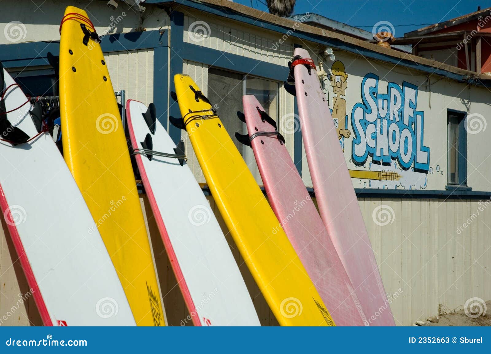 surf school