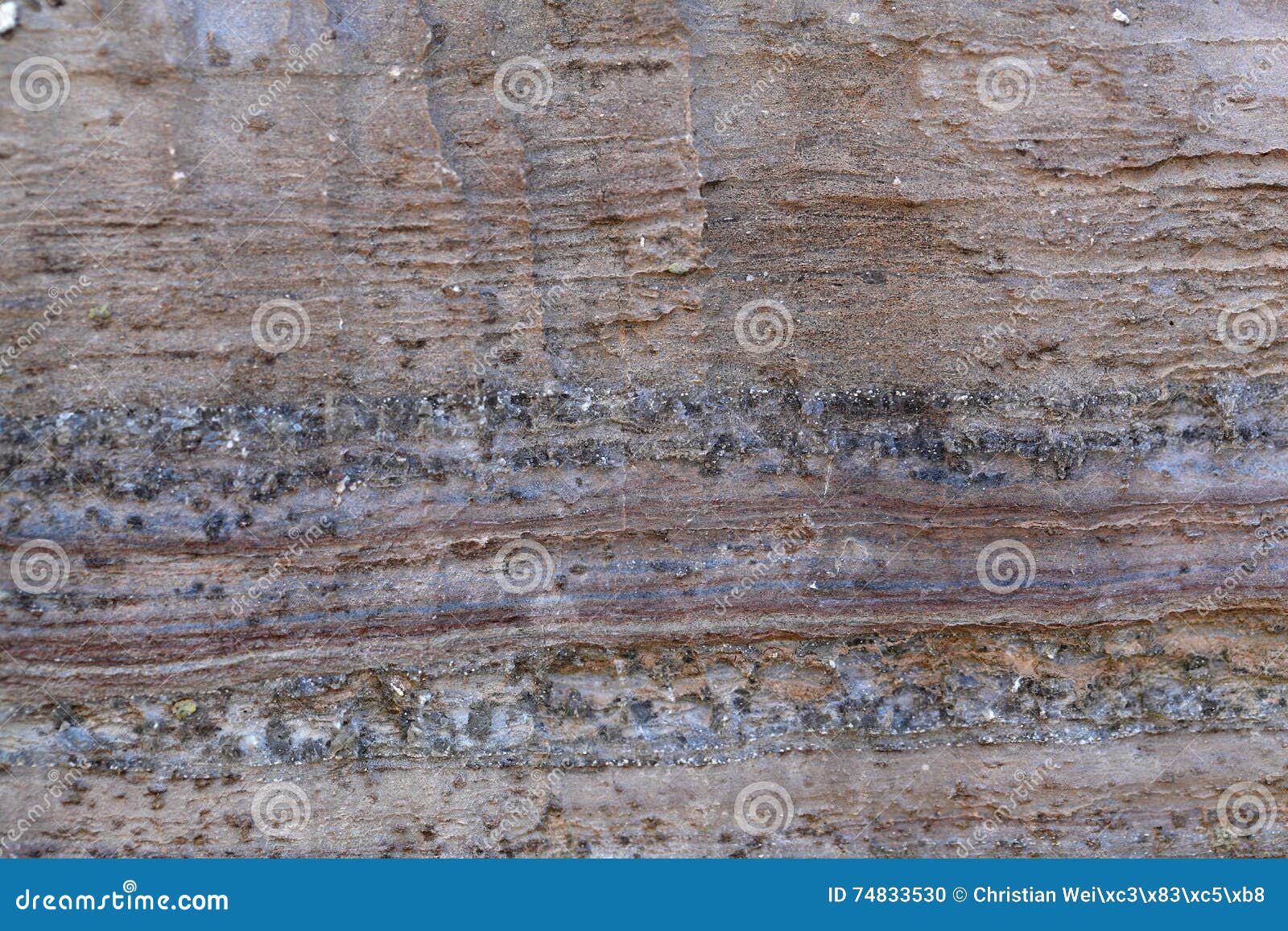 Surface of Carbonate Rock with Weathering Structures Stock Photo