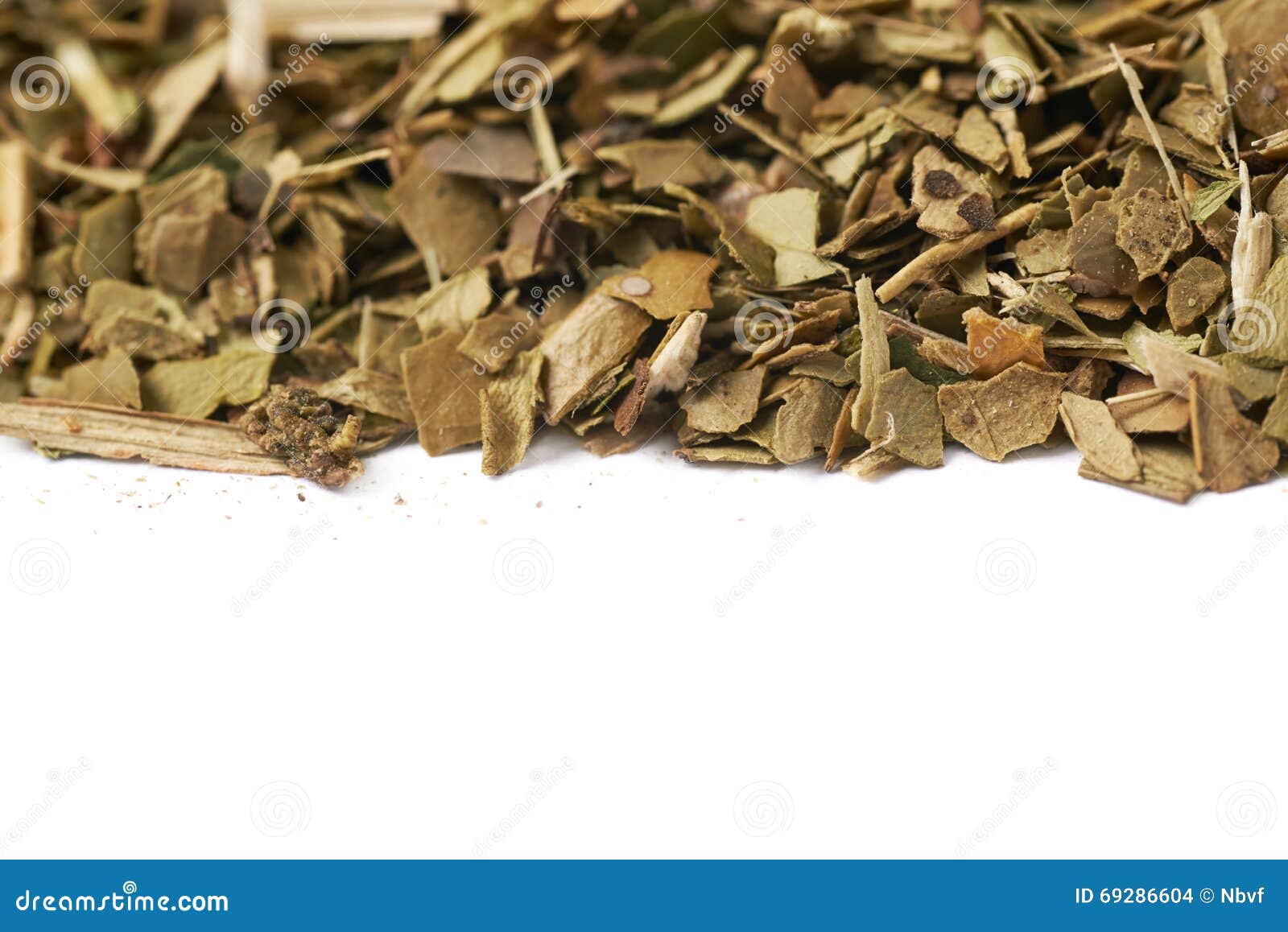 Surface Covered with Mate Leaves Stock Photo Image of closeup, green