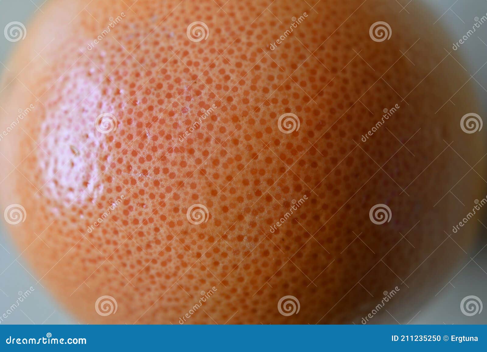 Surface of grapefruit peel stock photo. Image of grapefruit 211235250