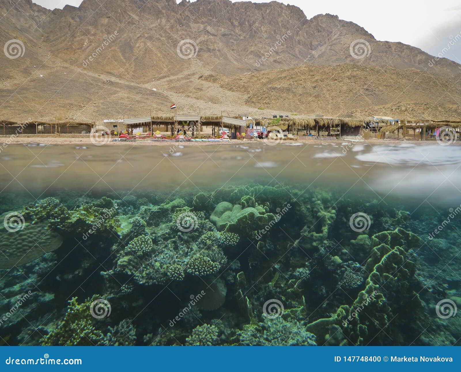 Underwater Photo - Half Corals, Half Desert Rock in Dive Site `Three Pools`  Stock Photo - Image of dive, landscape: 147748400