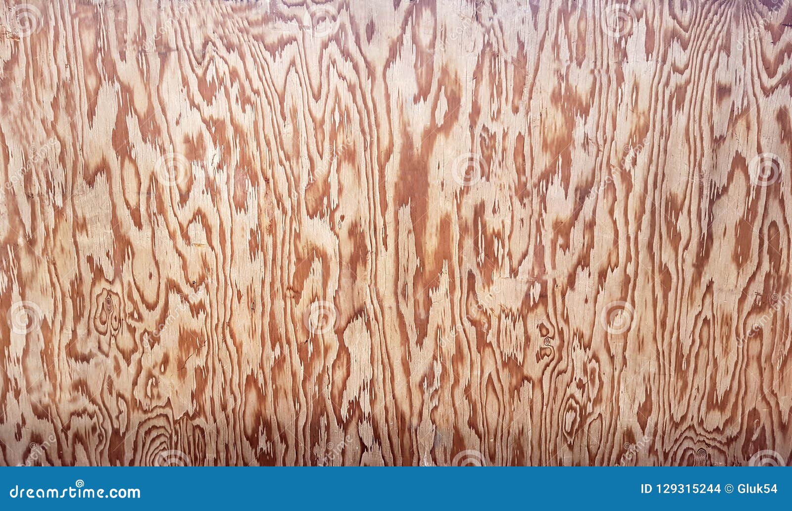 The Surface of Plywood for a Long Time in the Open Air Under the Sun