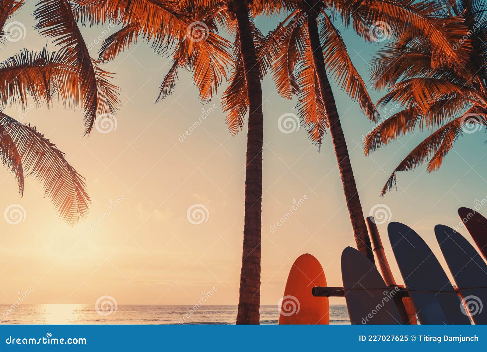 Surfboard And Palm Tree On Beach Background Royalty-Free Stock Image
