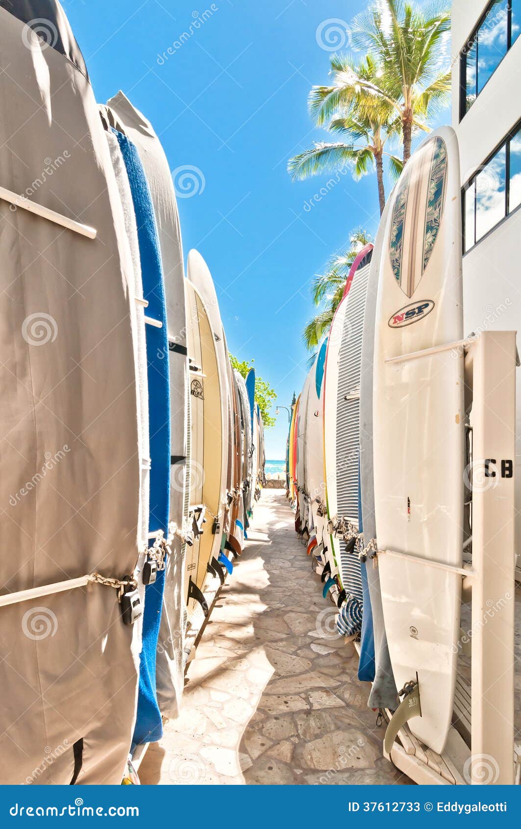 Surfboards in the Rack at Waikiki Beach Editorial Stock Photo Image